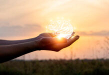 Влияние образа жизни на нервную систему и советы невролога