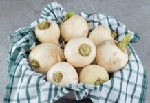 Польза и вред репы для здоровья